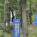 안성맞춤 아트홀 2강의실 | 특별시교육청 송파도서관 구내식당과 매점 조이앤드 재오픈 방문 후기(회원증발급, 층별안내, 주차정보 등)