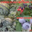 태수네농장 이미지