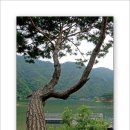 산적골 이미지