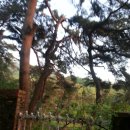 숲이랑농원 이미지