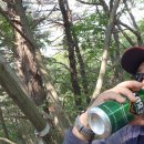 다송초등학교 이미지