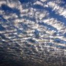 그리고 봄 펜션 민박 이미지