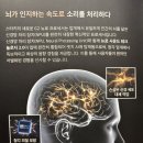 스타키 신제품 AI보청기 엣지 소개 및 리뷰