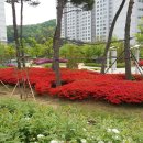 다정한 행정사사무소 이미지