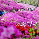 4월21일(화)철쭉꽃동산+수리산 둘레길+생태공원으로 하산 이미지