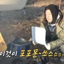 서해쭈꾸미 이미지