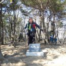 시산제 산행에 50리 행군을! - 울산 입화산(204m)~상아산(226.5m)~천마산(296m)~순금산(293.7m) 이미지