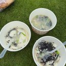 남승룡길 | 25년 11월-순천 남승룡 마라톤&amp;부산 출장(?)