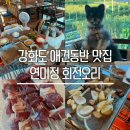 연미정 | [강화] 강화도 애견동반 맛집 연미정 회전오리 담백한 오리고기 내돈내산 후기