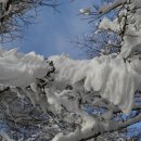 흥부골자연휴양림 이미지