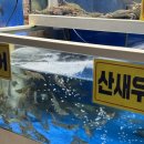 농수산물도매시장(수협공판장) | [Oct.3] 남양주 구리 수산시장 제철 새우 꽃게 멍게 해삼 구입