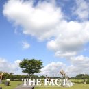 갯골안2 이미지