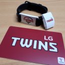 트윈스팜3 이미지