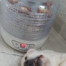대한이앤이 이미지