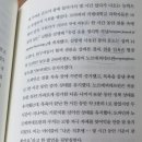 코카인에 버금가는 도파민 증폭 행위 이미지