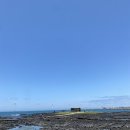 푸른신창 이미지