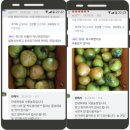 낙동농장 | 2025년 4월 첫째주 낙동농장은요