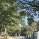 청운경로당 | 양평] 가족들이랑 산속에서 힐링하기 좋은 이색 글램핑 숙소 - 양평 에코이글루 글램핑 내돈내산 솔직후기