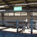 춘천농장 이미지