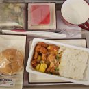 541 | [동유럽]Day1/아시아나항공 OZ541 탑승후기/인천-&gt;독일/독일 프랑크푸르트공항