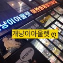 개냥이아울렛 이미지