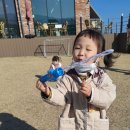 왓섬 이미지