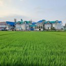 금현농장 이미지