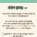 냥냥펀치 - 고양시 일산동구 | 냥냥펀치