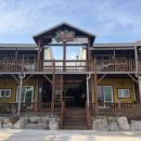 파파야 | 경주 애견동반펜션 파파야애견동반펜션 내돈내산 솔직후기