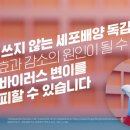 스카이광고 이미지