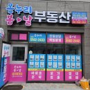 동마산공인중개사사무소 네이버블로그