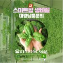 바질 x 비건 전문가들의 신선한 맛.남.!✨ 감칠맛나는 비건바질페스토 그린 신제품 출시 (feat.제작과정)