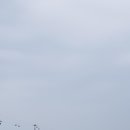 일타이피