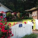 카페하애 이미지