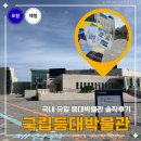 남구햇빛발전1호기 | 포항 국립등대박물관 아이와 가볼만한곳 호미곶 무료 실내 코스 후기