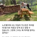 사족보행 이미지