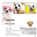 로즈펫살롱 이미지