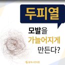 구로-구로-구로-731 이미지