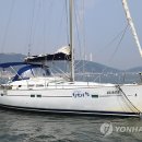 아라파니 이미지