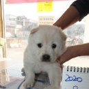 진건중길 이미지