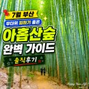 (주)대무 | 7월 부산 무더위 피하기 좋은 아홉산숲 완벽 가이드 솔직후기
