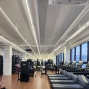 바디리핏 이미지