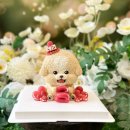 디어마이독 이미지