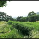 용인자연휴양림 이미지