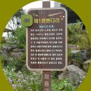 회룡포차 이미지