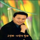 오성재 - 사랑의 철새 이미지