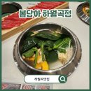 성북-길음-3500 | 하월곡맛집 봄담아 하월곡점, 1인 샤브샤브 추천