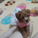 타임메디컬 이미지