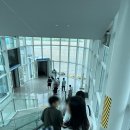 770 | 인천 - 삿포로 신치토세 공항 대한항공 후기 KE765 KE770 (에어버스 A330-300 / 에어버스 A321neo)