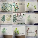 수채캘리그라피 이미지